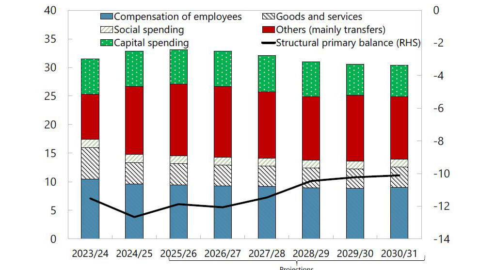 Baseline Medium-Term Budget (Per cent of GDP).